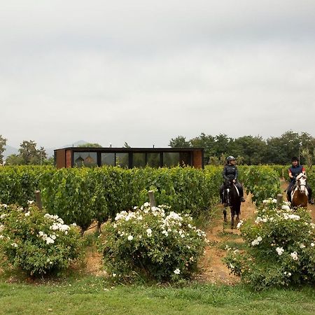 Vibo Wine Lodge At Viu Manent Santa Cruz Ngoại thất bức ảnh