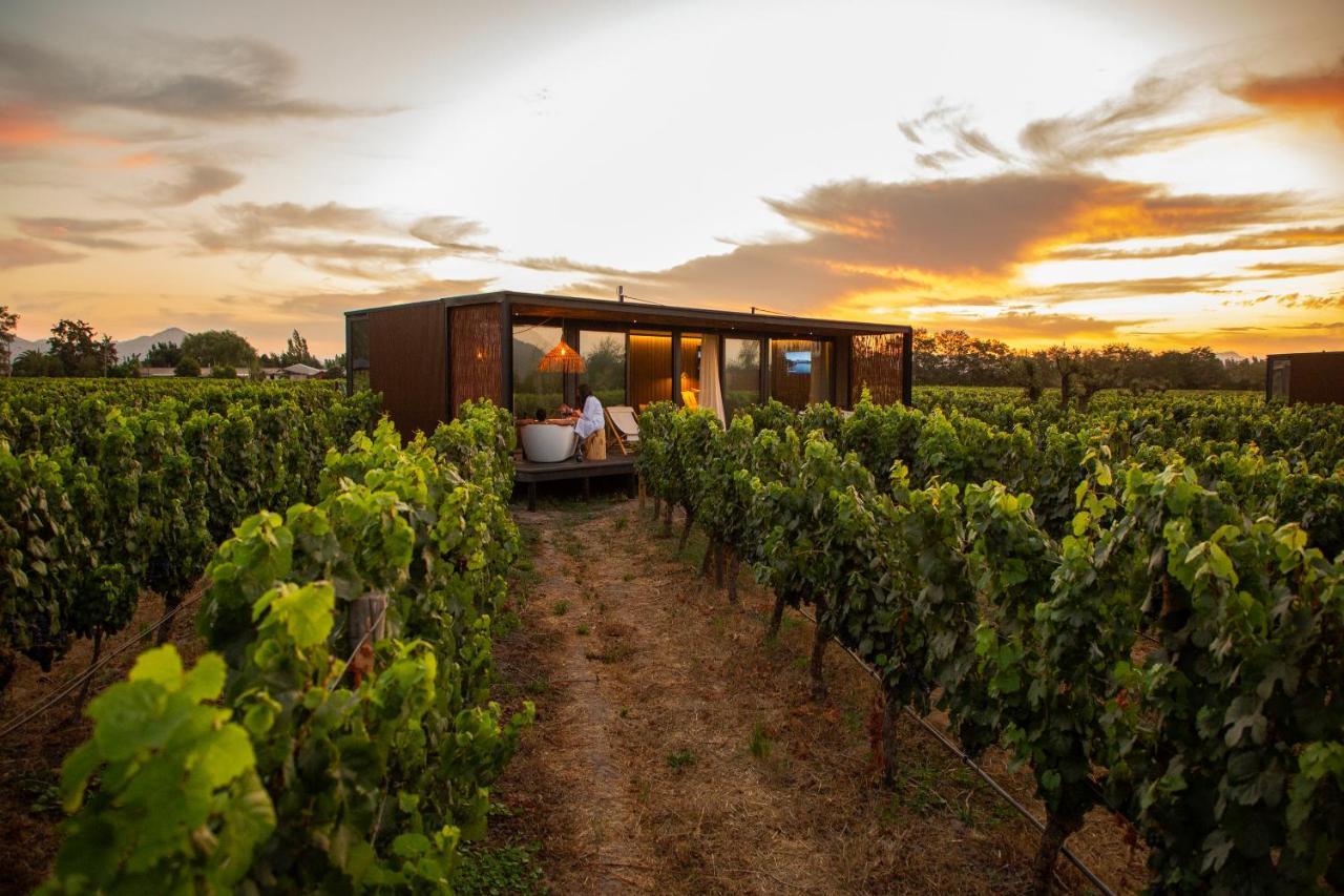 Vibo Wine Lodge At Viu Manent Santa Cruz Ngoại thất bức ảnh