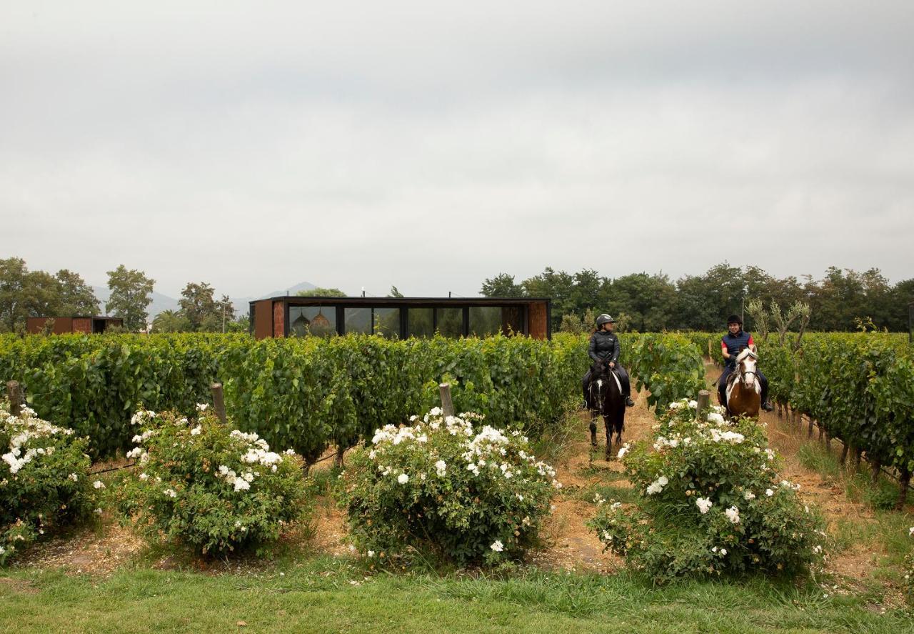 Vibo Wine Lodge At Viu Manent Santa Cruz Ngoại thất bức ảnh