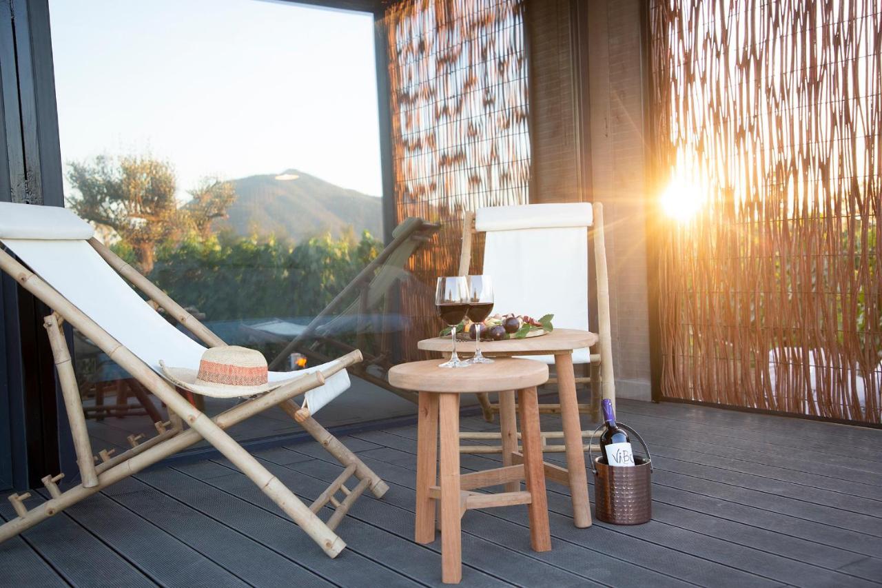 Vibo Wine Lodge At Viu Manent Santa Cruz Ngoại thất bức ảnh