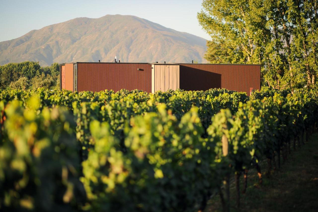 Vibo Wine Lodge At Viu Manent Santa Cruz Ngoại thất bức ảnh