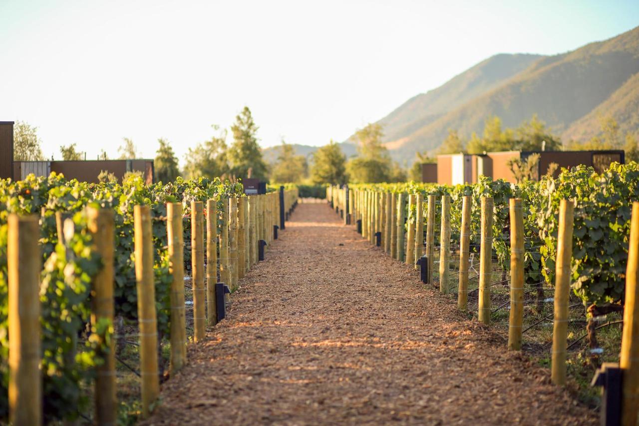 Vibo Wine Lodge At Viu Manent Santa Cruz Ngoại thất bức ảnh